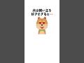 犬が飼い主を好きすぎると、こうなる