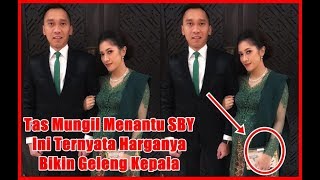 Menantu Cantik SBY, Aliya Rajasa Kenakan Tas Mungil Yang Harganya Fantastis