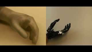 Michelangelo vs  BeBionic