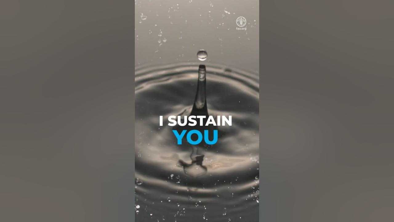 what-does-water-mean-to-you-youtube
