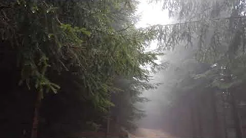 10 hours Rain Sound Relaxation
