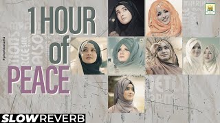 Slow+Reverb | 1 Hour Of Peace Lofi | Seper Hit Naats | Laiba Fatima | Alisha Kiyani | Syeda Areeba