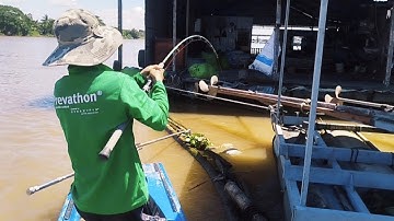 Câu Cá Basa Sông Nước Miền Tây Mùa Nước Rút | Cánh Đồng Hoang Hiếu