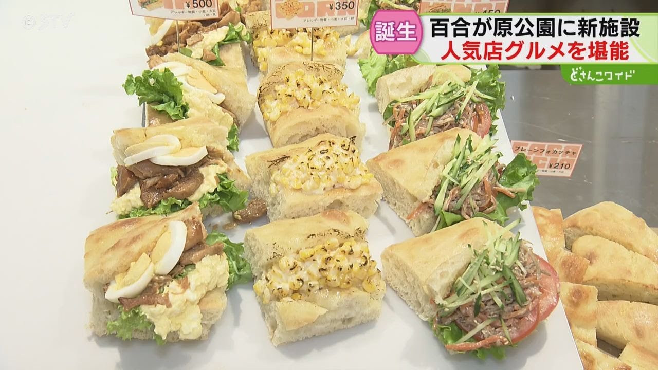 札幌に新たなぬくもりの空間「子連れにすごくいい」 人気店のパンやコーヒーも　公園に新施設誕生