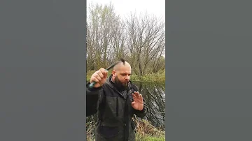 Животные не понимают человеческий язык и нападают