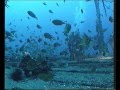 Pecios bajo el mar