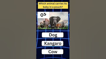 Only Geniuses Get All Correct! 🧠✅