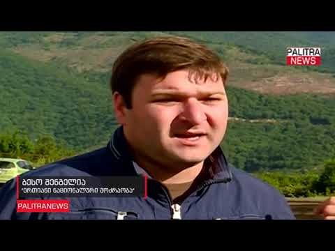 სოფელ ტანძიის მოსახლეობამ კომპანია RMG Gold-ის წინააღმდეგ აქცია გამართა