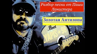 Ляпис 98 - Золотая Антилопа (разбор песни на гитаре от Паши Ланистера)