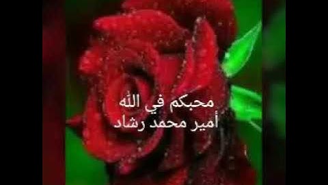 إن الذين كفروا بأياتنا سوف نصليهم نارا. تلاوة رائعة