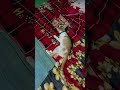 jist for fun #fun #funny #funnyvideo #funnyshorts #funnycomedy #funnymemes #viral