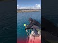 Рыба гниет. Из Иссык-Куля вытащили километр браконьерских сетей