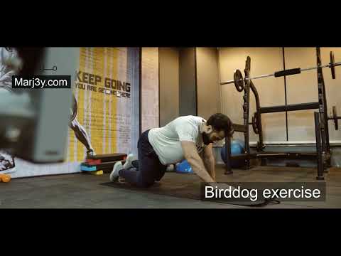 Marj3y - Back exercises - Birddog exercise - مرجعى - تمارين الظهر - تمرين بيرد دوج