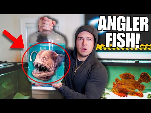BUYING Creepy ANGLER FISH OFF THE WEB For My SALTWATER AQUARIUM!! 