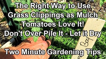 The Simple Right Way to Use Grass Clipping as a Garden Mulch - Conserve Water!: Two Minute TRG Tips