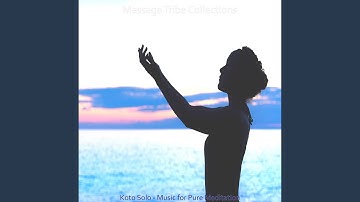 Incredible Koto and Strings - Vibe for Instant Relax