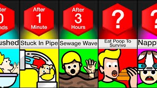 Timeline: What If You Were Flushed Down The Toilet?