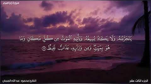من سورة ابراهيم 13-18 بصوت الشيخ محمود المبيض