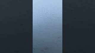 Loud Banging Sound
