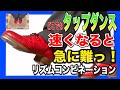【どこでもタップダンスレッスン】TAP初めたい方必見！速くなると急に難っ！リズムコンビネーション！小スペース編！