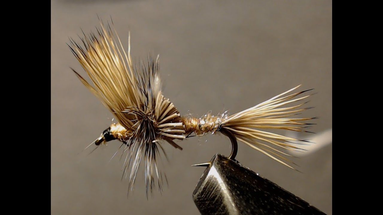 Fly Tying a Mayfly Cripple Dry Fly (Mayfly) How to tie a mayfly cripple