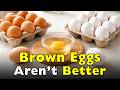 Brown Eggs Aren’t Better Than White Eggs — Here’s the Real Difference