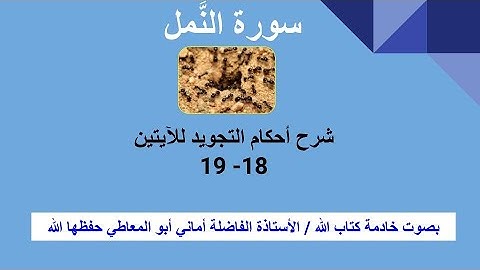 سورة النمل :  شرح أحكام التجويد للآيتين 18 و19