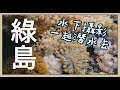 綠島潛水攝影，簡單器材也能享受水下拍照樂趣！#潛水