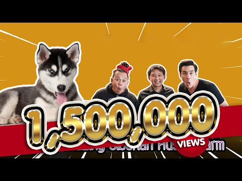 สุดยอดฟาร์ม ไซบีเรียน ฮัสกี้ Hi-End (Amazing Siberian Husky Farm)- เพื่อนรักสัตว์เอ้ย l EP.31