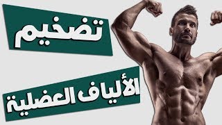 أسرار تضخيم العضلات بشكل علمي | الألياف العضلية