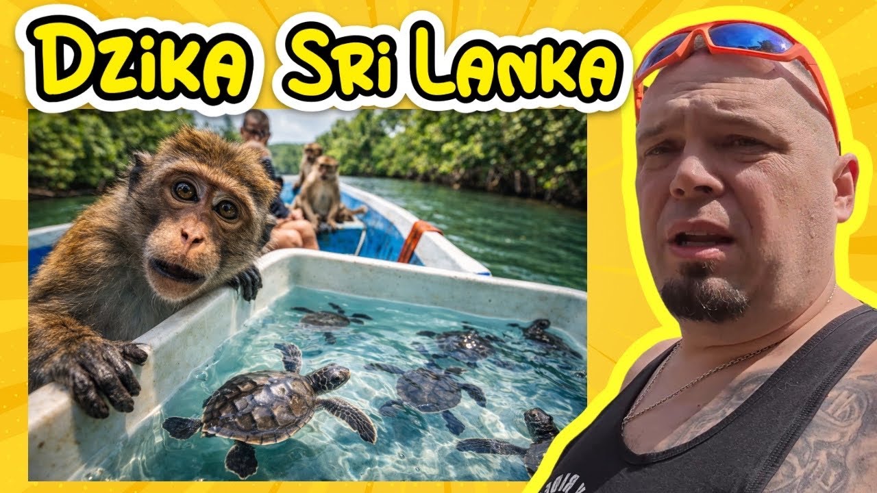 Małe żółwie, małpy i Cinnamon Island – Sri Lanka z dziećmi