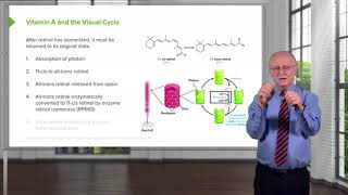 Vitamin A Color Detection, Visual Cycle & Retinoic Acid Function