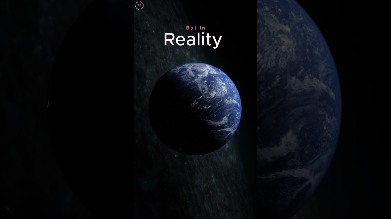 WHAT SCHOOL TEACH YOU 