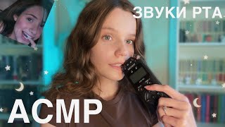 :        ()  asmr tascam biting looped