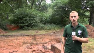 The human history of Ashtead Common