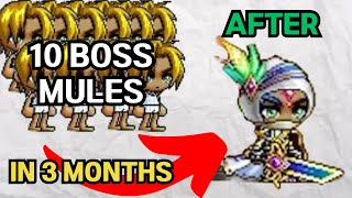 How I made 10 CRA+ Boss Mules in 3 Months in Maplestory(With Insights & Learnings)