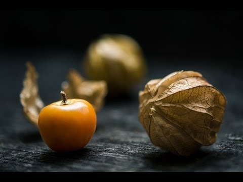 Video: Physalis. Գիտե՞ք ինչպես պահել այն: