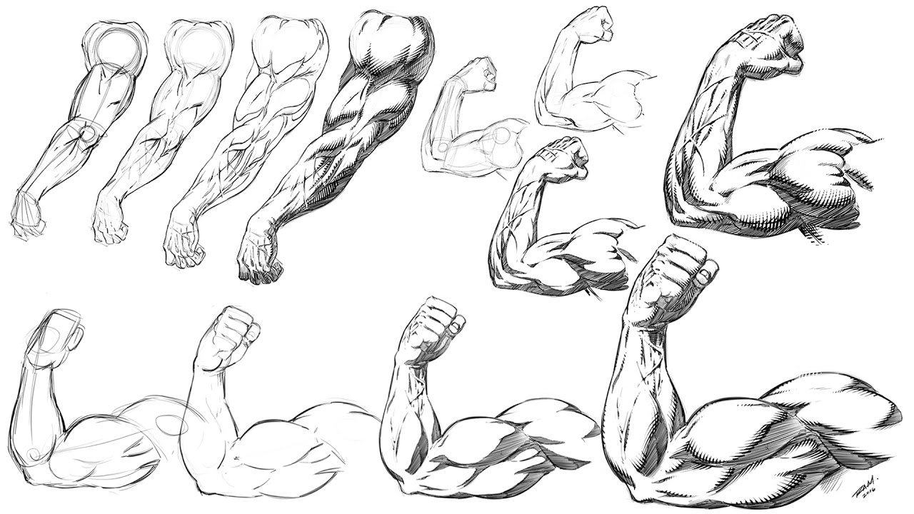 comics, muscles, shading, cross hatching, rendering, detailed, tutroial, le...