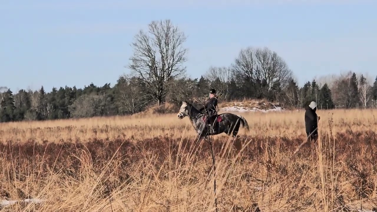 Estonia holiday 2026 part 2