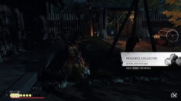 Ghost of tsushima new game plus lethal