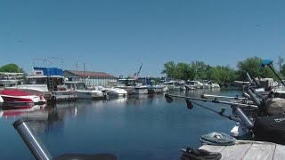 Higher boat traffic on Lake Ontario