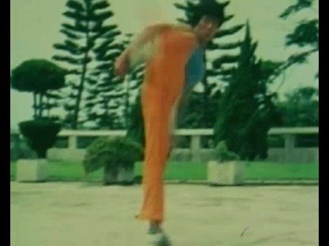 BRUCE LEE THE MAN THE MYTH - BRUCE LI vs CHIU CHI LING