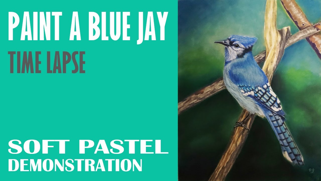 Paint a Blue Jay - Wildlife Art - Birds in Pastel with Rita Ginsberg