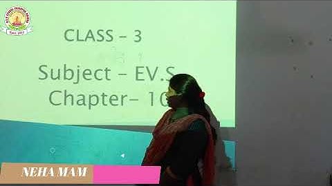 DAV SCHOOL TUTORIALS CLASS  3 EVS BY NEHA MAM