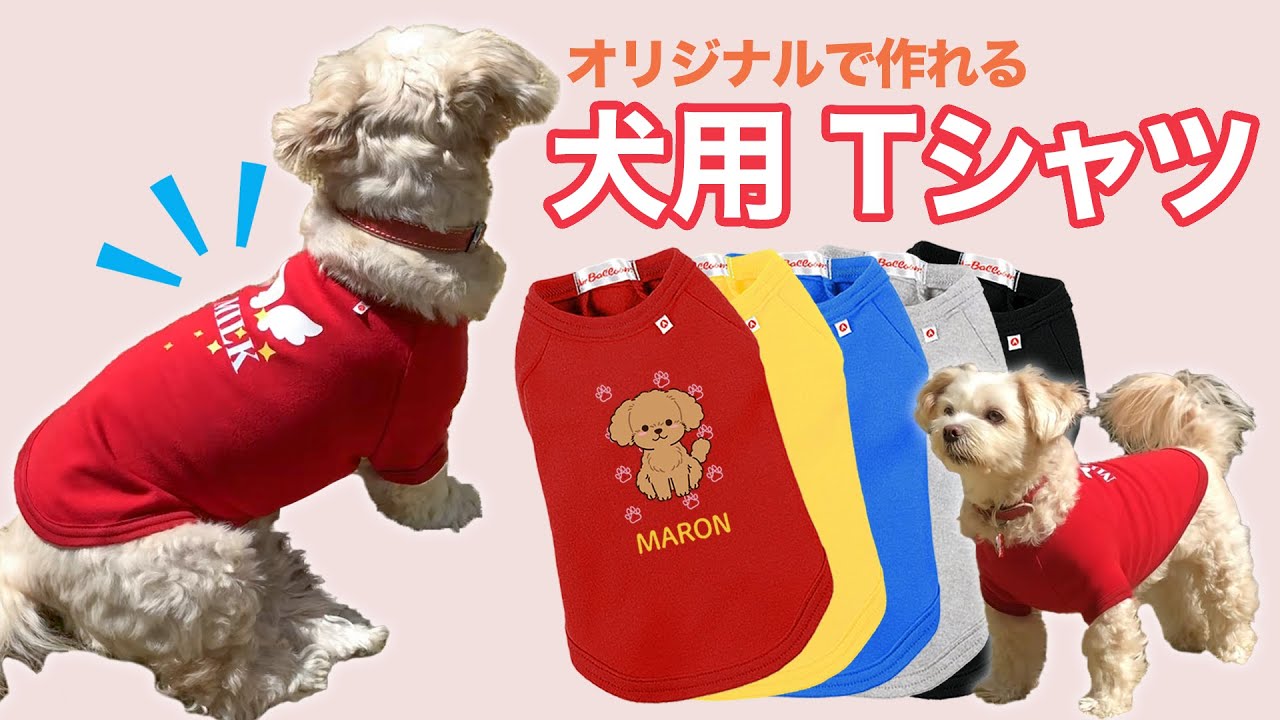 犬用 Tシャツ | オリジナル 犬用 Tシャツのプリント 作成 製作なら 