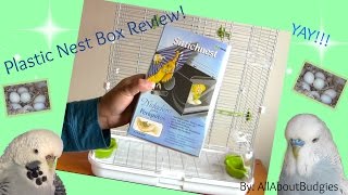 Plastic Nest Box for Breeding Budgies by AllAboutBudgies 21,919 views 7 years ago 13 minutes, 36 seconds