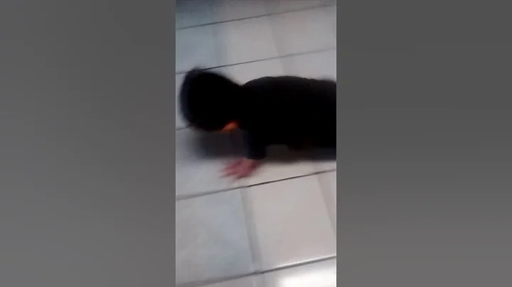 El bebsito hermoso