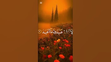 سورة الكافرون #القزابري #اكسبلور #المصحف #قصص #القرآنالكريم #الرحمن #لايك #العريفي