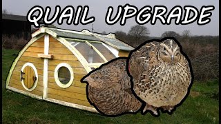 Upgrading the QUAIL HOUSING | Farming the Four Seasons  Winter (Day 9)