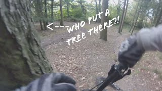 WHO PUT A TREE THERE?!!🌲🌲 | MTB HAMMEL 17-10-2023